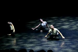 DANSE-846