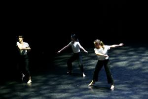 DANSE-847