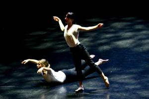 DANSE-848