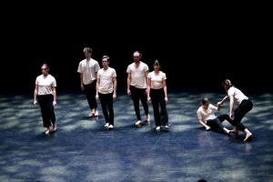 DANSE-852