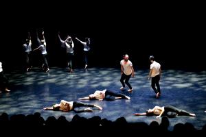 DANSE-853