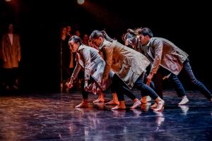 DANSE-867