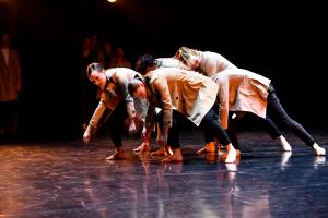 DANSE-868